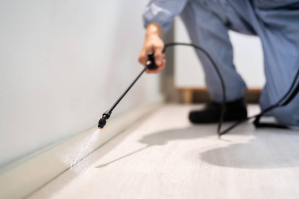 Licensed Pest Control service in Franklinton, NC - Show Me Pest Control